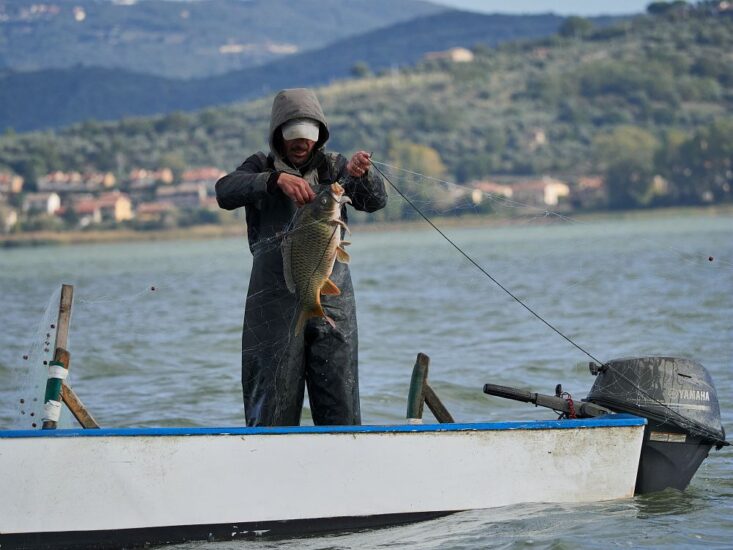 Pesca Tradizionale del Lago Trasimeno Presidio Slow Food
