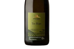 Pievalta, Doc Verdicchio dei Castelli di Jesi Classico Superiore Tre Ripe 2024