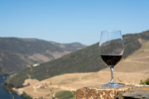 Volumi in eccesso e crisi: dalla Commissione Ue un aiuto al Portogallo per la distillazione di vino