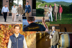 Tenuta San Guido No. 1 for profitability, Antinori for vineyards and investment: Italy’s wine leader