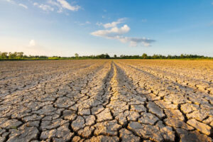 Coldiretti torna sull’allarme siccità: “accelerare sul piano invasi per salvare l’agroalimentare”
