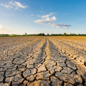 Coldiretti torna sull’allarme siccità: “accelerare sul piano invasi per salvare l’agroalimentare”