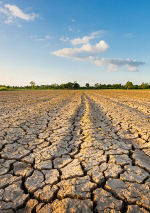 Siccit&agrave; sul 60% dell&rsquo;Italia, agricoltura sotto pressione e costi per l&rsquo;irrigazione in aumento
