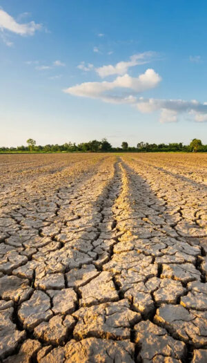 Siccit&agrave; sul 60% dell&rsquo;Italia, agricoltura sotto pressione e costi per l&rsquo;irrigazione in aumento