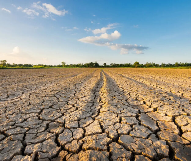 Siccit&agrave; sul 60% dell&rsquo;Italia, agricoltura sotto pressione e costi per l&rsquo;irrigazione in aumento