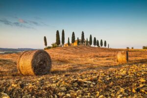 Con 3,6 miliardi di euro di produzione agricola e 42.000 imprese vola la Toscana dell’agroalimentare Con 3,6 miliardi di euro di produzione agricola e 42.000 imprese vola la Toscana dell’agroalimentare