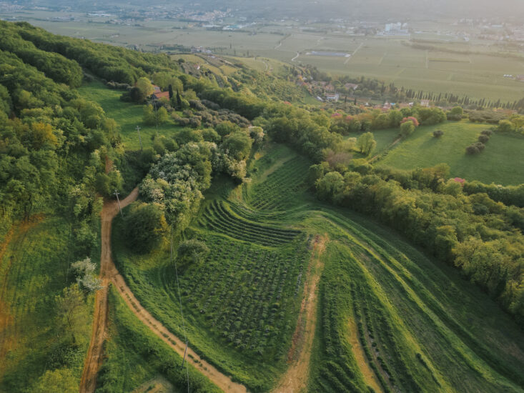 I vigneti della Valpantena