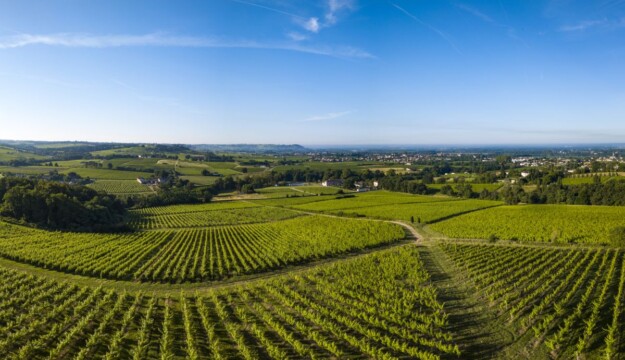 Francia, anche i big risentono delle difficolt&agrave; del vino: i vigneti di Bordeaux perdono valore