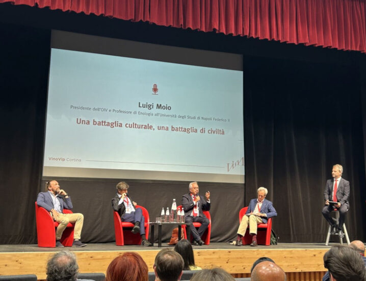 Luigi Moio su “Una battaglia culturale, una battaglia di civiltà” 