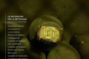 I Vini di WineNews - N. 318