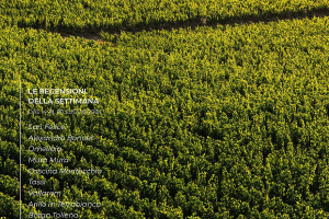 I Vini di WineNews - N. 319