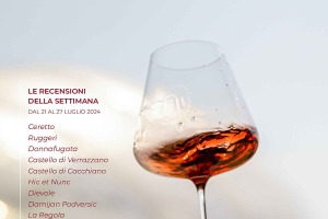 I Vini di WineNews - N. 320