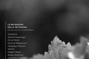 I Vini di WineNews - N. 321