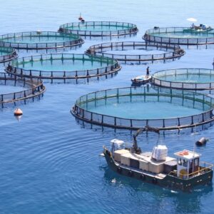 Coldiretti lancia le Consulte per rafforzare il futuro di pesca e acquacoltura italiane