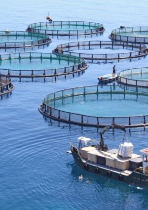 Coldiretti lancia le Consulte per rafforzare il futuro di pesca e acquacoltura italiane