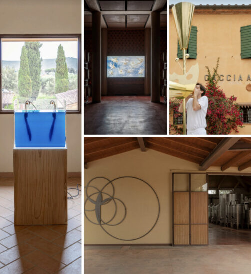 “Terre Rare”, mostra e progetto di arte contemporanea alla cantina Caccia Al Piano a Bolgheri