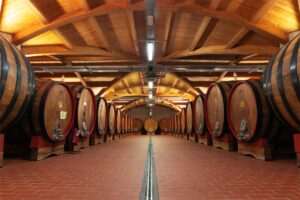 Investments in hospitality, wine tourism and winemakers: the future of the Cantina di Montalcino