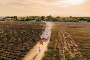 Non solo musei e gallerie: quando le cantine diventano “contenitori” di arte e cultura