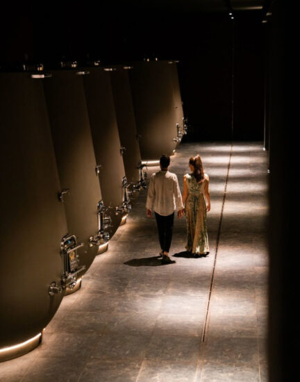 Il connubio vino e arte si rinnova con “Art Ferment” da Farina Wines in Valpolicella