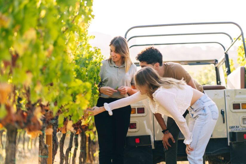 Vacanze di Ferragosto in Chianti Classico, tra “AperiGreen” e “Wine Safari” da Vallepicciola 