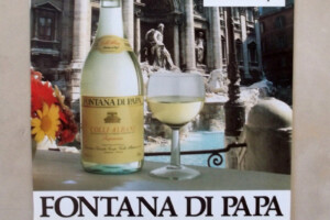 “Fontana di Papa”, marchio storico dei Castelli Romani, potrebbe tornare in auge