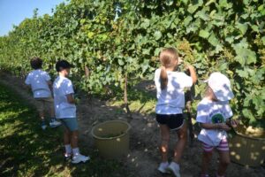 Tra natura, giochi di una volta e relax, torna la “Vendemmia dei Bambini” a Ca’ di Rajo