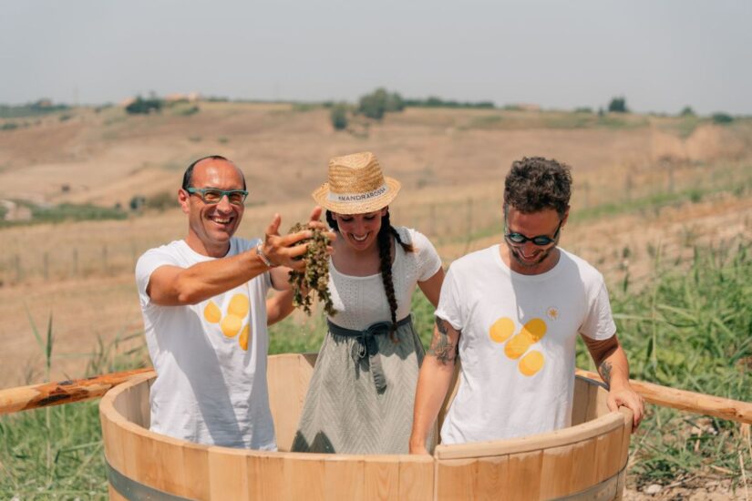 Tempo di vendemmia, tempo di “Mandrarossa Vineyard Tour” con Cantine Settesoli a Menfi
