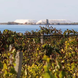 Ryanair, the food and wine destination to visit in Italy? Sicily, from Trapani to Marsala