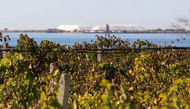 Ryanair, the food and wine destination to visit in Italy? Sicily, from Trapani to Marsala