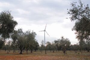 No alle speculazioni green nelle “Città di Identità”: 1.000 Comuni firmano un “Manifesto”