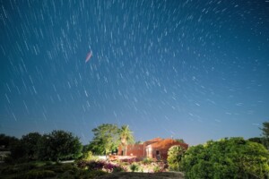 La bellezza della natura nei territori italiani, si rivela nel rapporto tra il vino e l’arte
