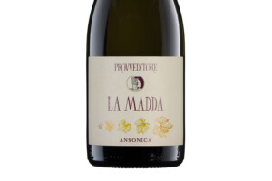 Provveditore, Doc Maremma Toscana Ansonica La Madda 2023