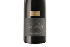 Ricchi, Doc Garda Merlot Carpino 2017