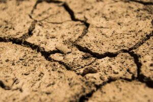 Siccità, completati i ristori 2024: 108,5 milioni di euro alle aziende del Sud colpite nel 2024 Siccità, completati i ristori 2024: 108,5 milioni di euro alle aziende del Sud colpite nel 2024