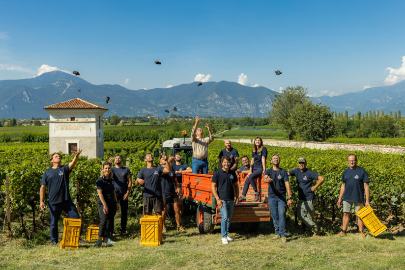 La vendemmia alla Guido Berlucchi, cantina “culla” del Franciacorta (ph: Matteo Rinaldi)