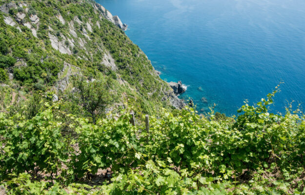 AGRICOLTURA, AGROECOLOGIA, CAMBIENTO CLIMATICO, GOVERNO, LEGAMBIENTE, STEFANO CIAFANI, Non Solo Vino