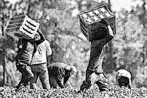 Il Piemonte “modello positivo nella lotta al caporalato”. Anche grazie agli investimenti