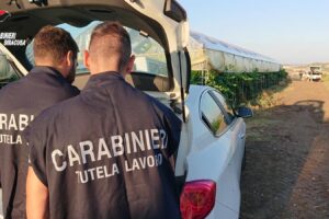 Caporalato, ancora controlli a tappeto in tutta Italia, con tante irregolarità rilevate