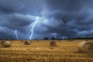 Green Deal, allerta sui terreni agricoli: il business delle mafie per accedere ai fondi europei