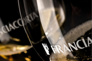 I Quaderni di WineNews - La Franciacorta