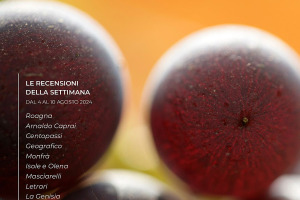 I Vini di WineNews - N. 322