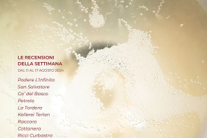 I Vini di WineNews - N. 323