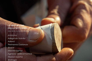 I Vini di WineNews - N. 324