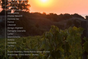 I Vini di WineNews - N. 325