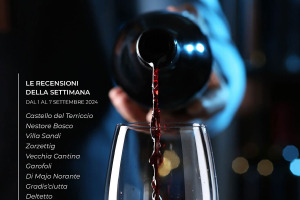 I Vini di WineNews - N. 326