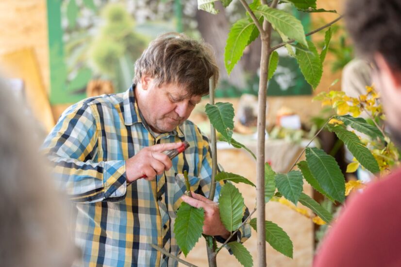 Terra Madre Salone del Gusto a Torino (ph: Alessandro Vargiu)