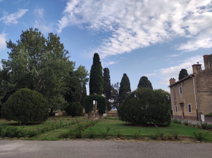 “Bolgheri DiVino” 2024