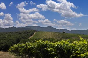 Il valore di una denominazione