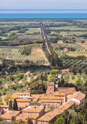 Bolgheri e la &ldquo;minaccia&rdquo; elettrodotto: il Consorzio scrive al Ministro dell&rsquo;Ambiente Pichetto Fratin