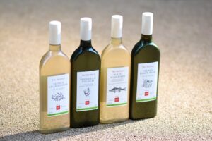 Se il più antico wine club al mondo “sdogana” le bottiglie di plastica per il vino